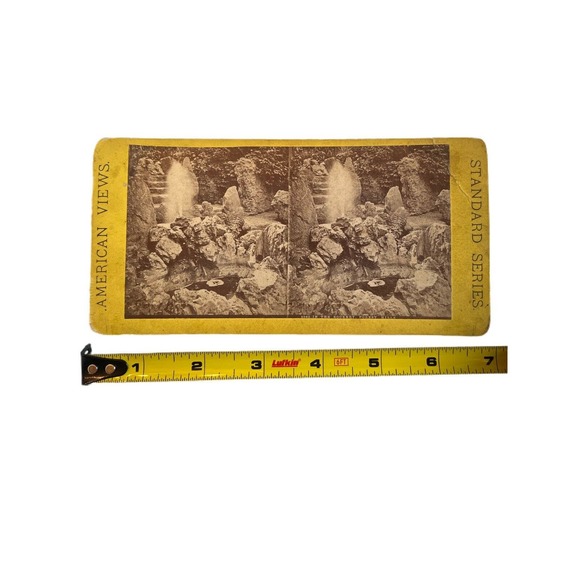 Antique Stereoscope Photo Card American Views 2542 The Rockery Forest Hills - Picture 2 of 4